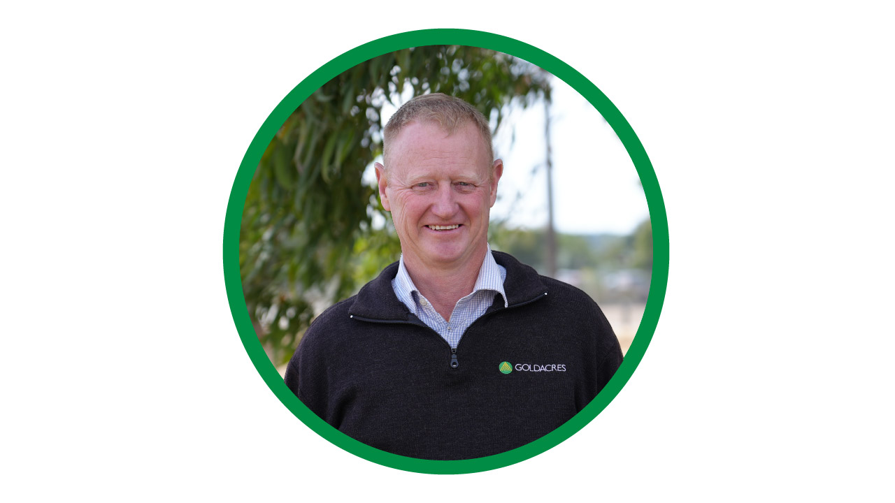 Meet Dave - Goldacres Product Manager